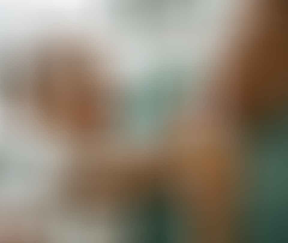 Specialty Vision