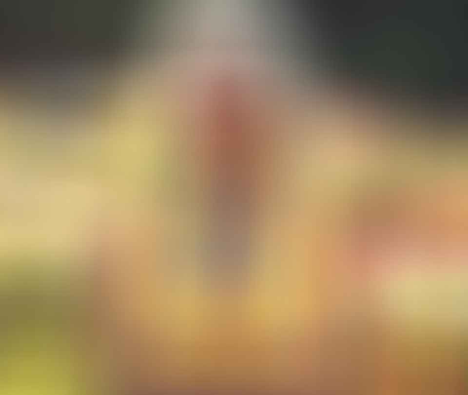 Specialty Vision