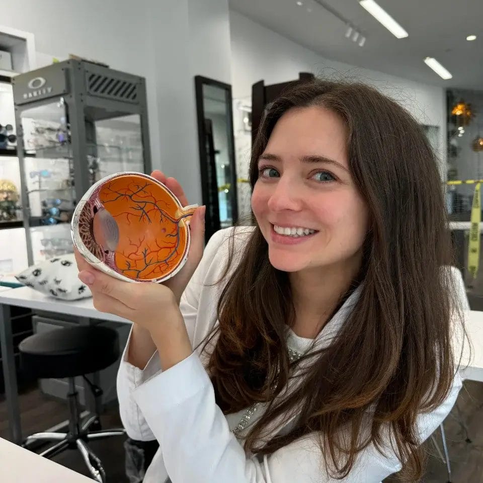 Understanding Retinal Vein Occlusion