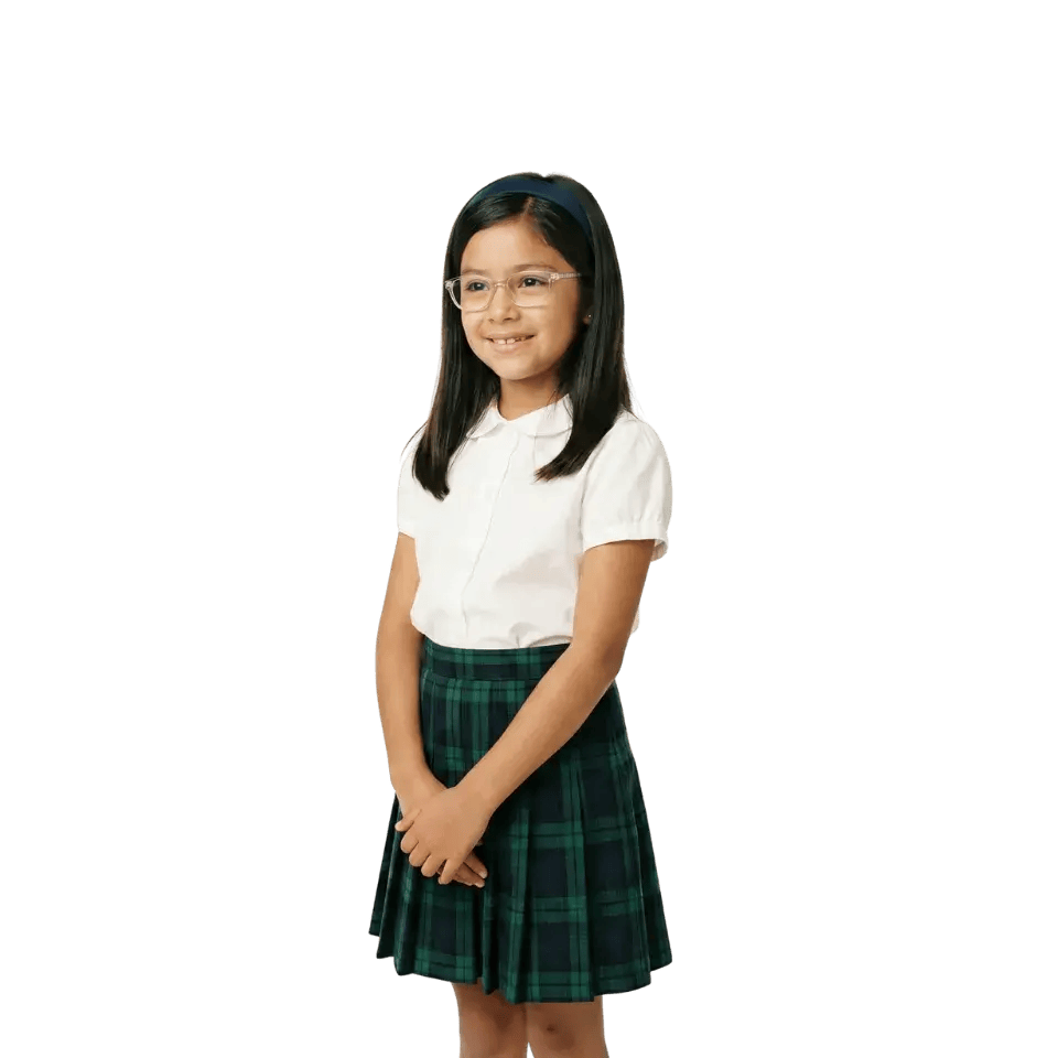 Understanding Suppression in Vision